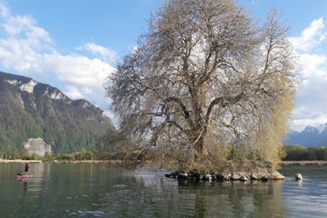 SUP-balade-montreux-villeneauve